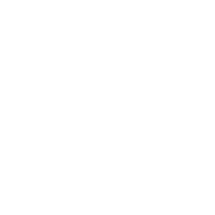 crownpath logo white